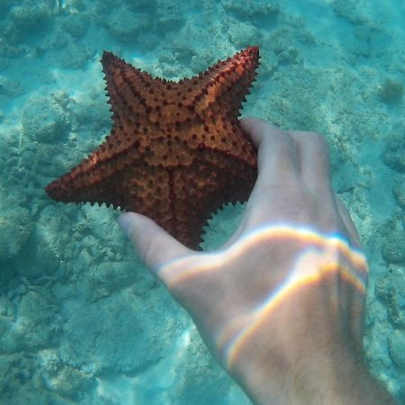 Hotel Pedernales Italia Republica Dominicana Екстер'єр фото